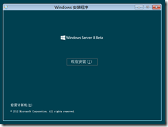 SERVER 8 安装界面1